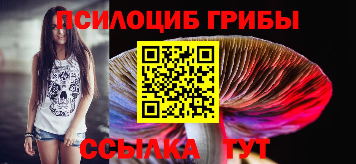 Псилоцибиновые грибы Psilocybine cubensis Коряжма