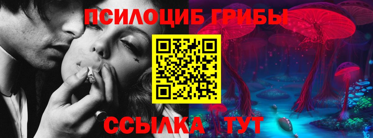 Галлюциногенные грибы прущие грибы  сколько стоит  Коряжма  Вход с VPN 